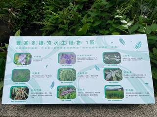 水生植物介绍牌