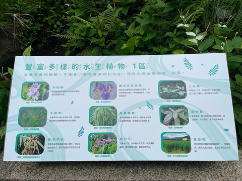 水生植物介紹牌