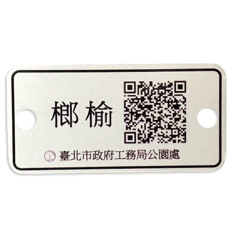 认养铭版推广-榔榆