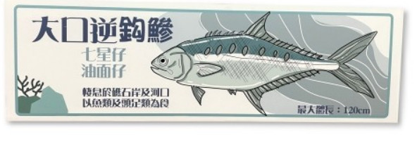 河川魚類介紹
