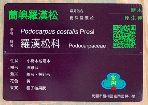 植物名牌