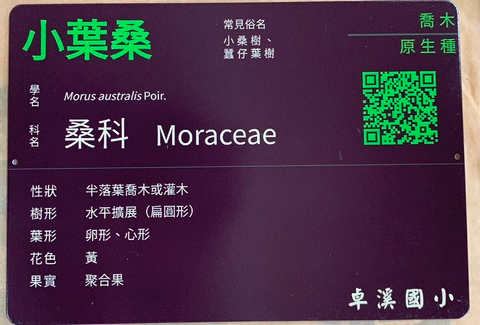 樹種名牌