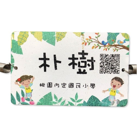 解说牌-朴树