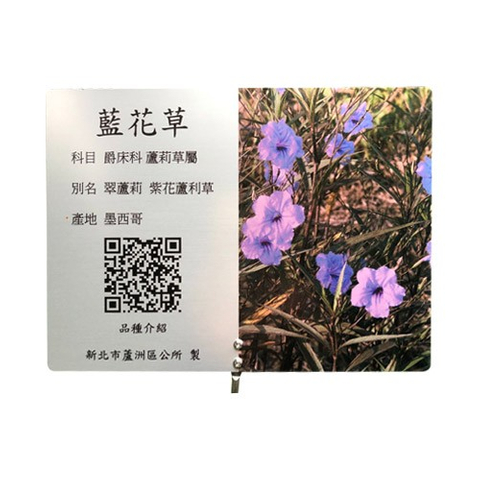 解說花牌-蘭花草