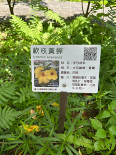 植物介紹標誌牌