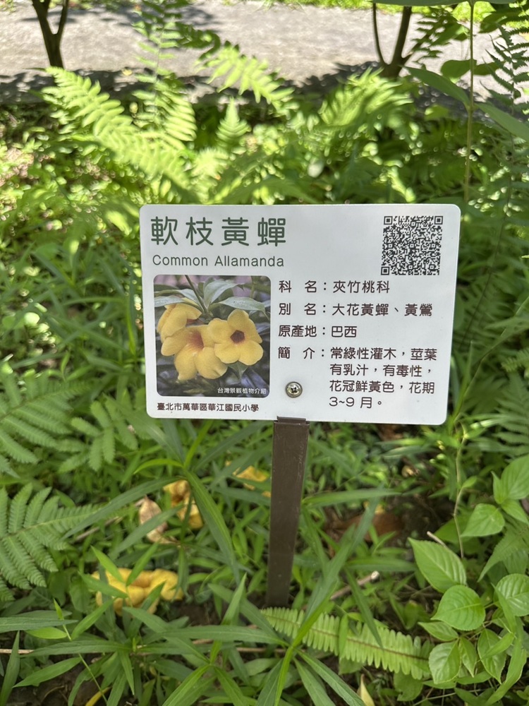 植物介紹標誌牌