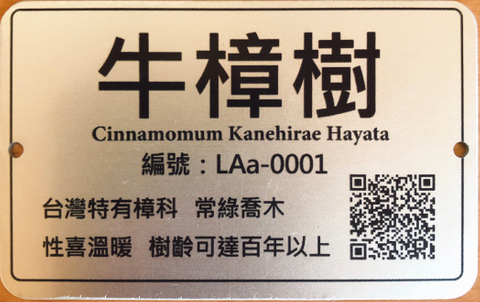 珍貴樹名牌-牛樟樹