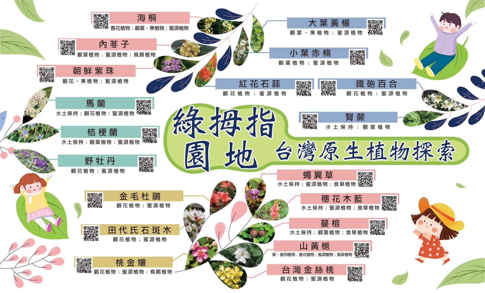 原生植物解說牌