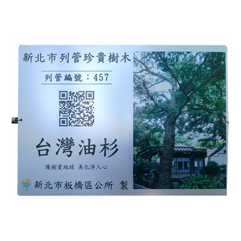 認養銘版推廣護台灣油杉樹