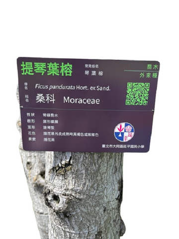 校树解说牌