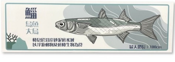 海洋生物辨識