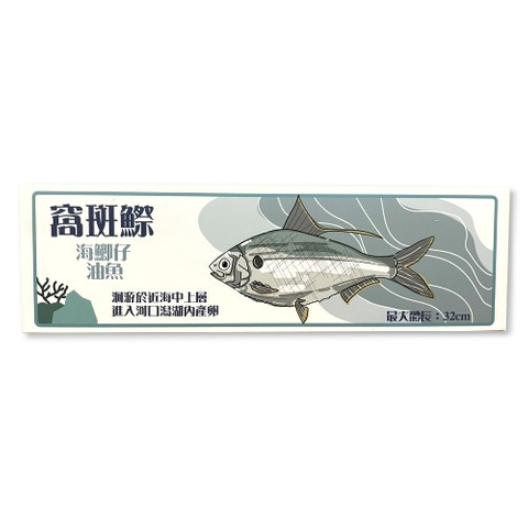 窩斑鰶-魚類辨識解說牌