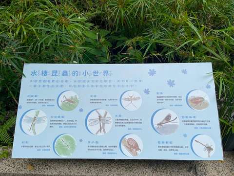 水棲昆蟲的小世界解說牌