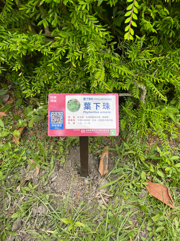 園藝標示牌