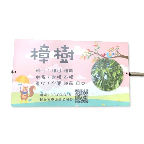 解說牌-樟樹