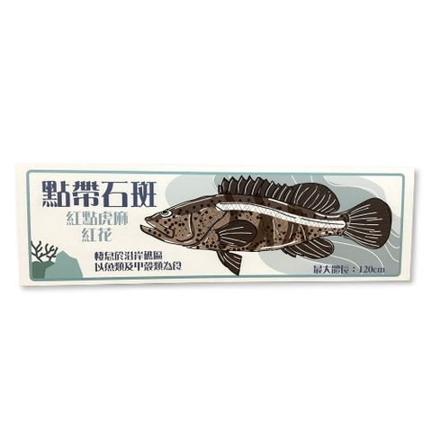 大口逆鈎鰺-魚類辨識解說牌