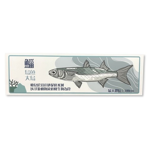 鯔-魚類辨識解說牌