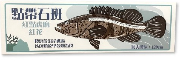 魚類介紹解說牌