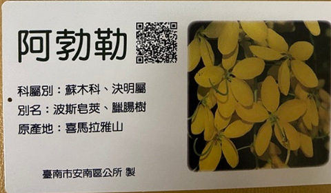 花卉解說牌