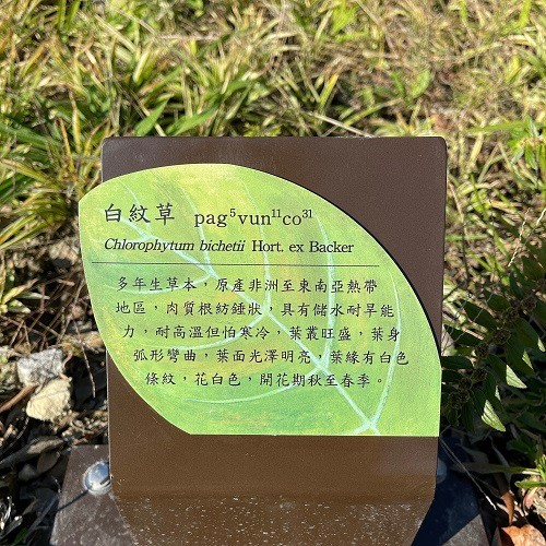 水生植物解說牌