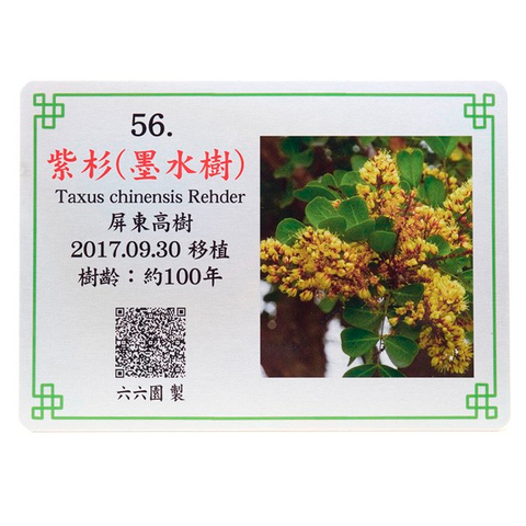 寺廟樹木解說牌