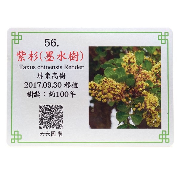 寺廟樹木解說牌