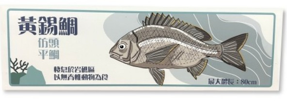 魚類解說牌