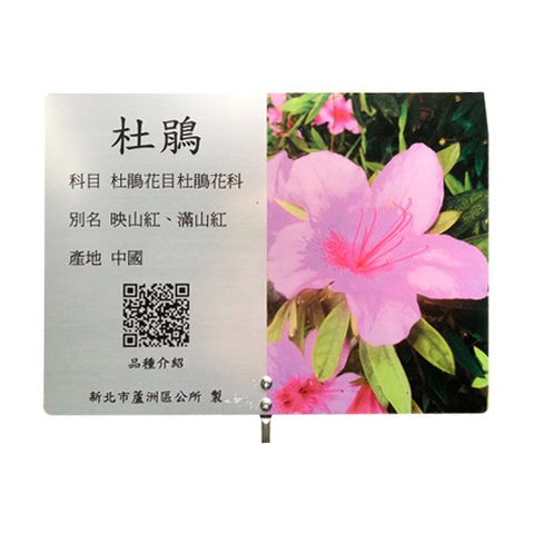 解說牌-杜鵑