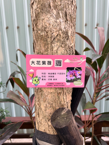 解說牌設計