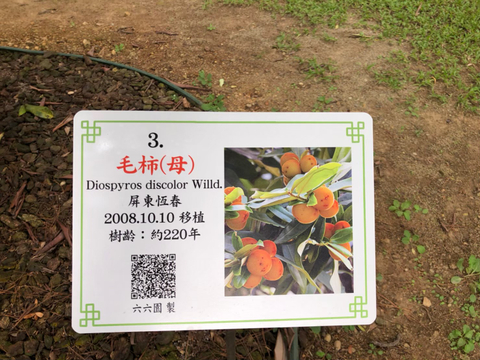 解說牌