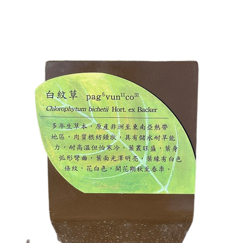 草本植物解说牌