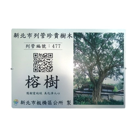 認養銘版推廣護榕樹解說牌