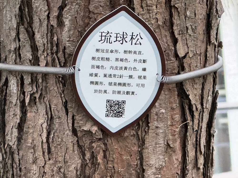 掛樹彈簧解說牌