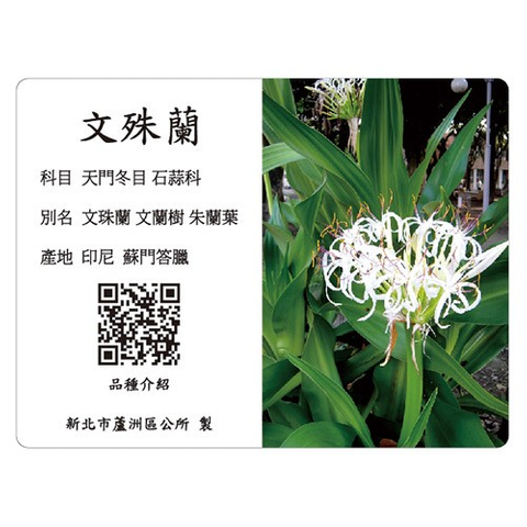 解說牌-文殊蘭