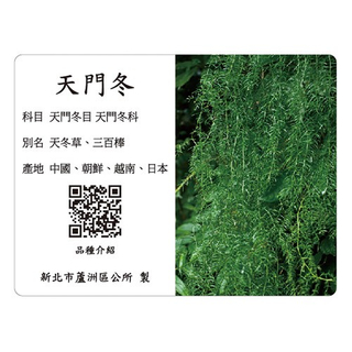 解說牌-天門冬