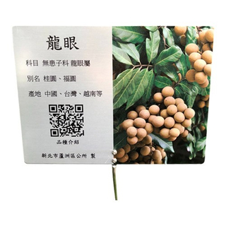解说牌-龙眼